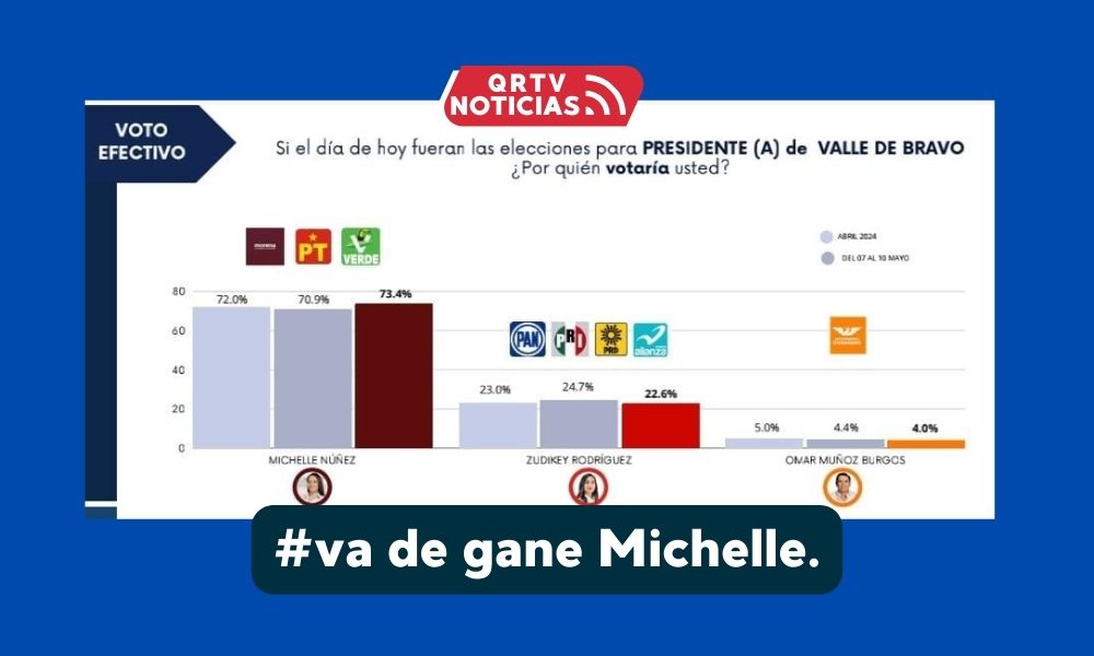 va de gane michelle